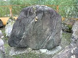 010.jpg