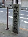 041.jpg