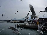 045.jpg