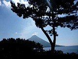061.jpg