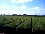 062.jpg