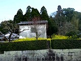 067.jpg
