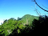 025.jpg
