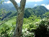 035.jpg