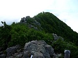 043.jpg