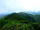 045.jpg
