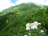 046.jpg