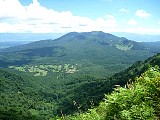 050.jpg