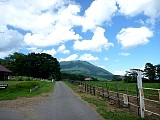 052.jpg