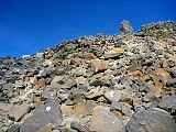 031.jpg
