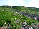 042.jpg
