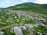 043.jpg