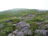 047.jpg