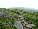 048.jpg