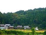 010.jpg