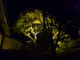 009.jpg