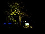 011.jpg