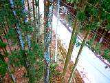 20110211002.jpg
