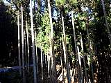 20120103005.jpg
