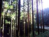 20120103006.jpg