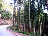 2012010401.jpg