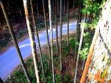 2012010502.jpg