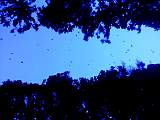2012020202.jpg