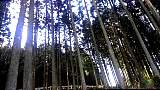 20120216003.jpg
