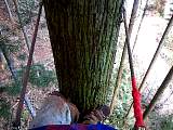 20120217002.jpg