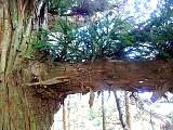2012021701.jpg