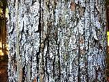 2012032101.jpg