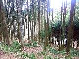 2012032202.jpg