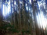 20120327004.jpg