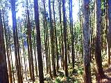 20120408002.jpg