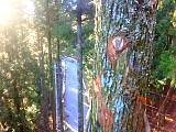 20130104001.jpg