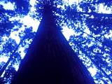 20130104002.jpg