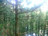 20130104003.jpg