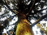 20130106002.jpg