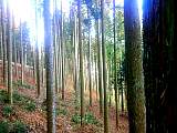 20130108002.jpg