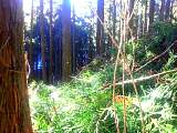 20130111001.jpg