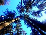 20130111002.jpg