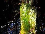 20130121001.jpg