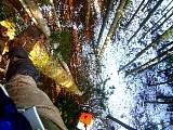 20130121002.jpg