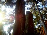20130124003.jpg