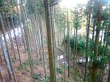 20130130003.jpg
