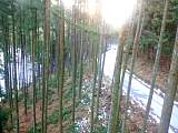 20130130005.jpg