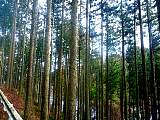 20130204001.jpg