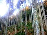 20130210002.jpg