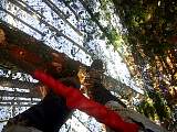 20130217001.jpg