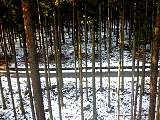 20130217002.jpg